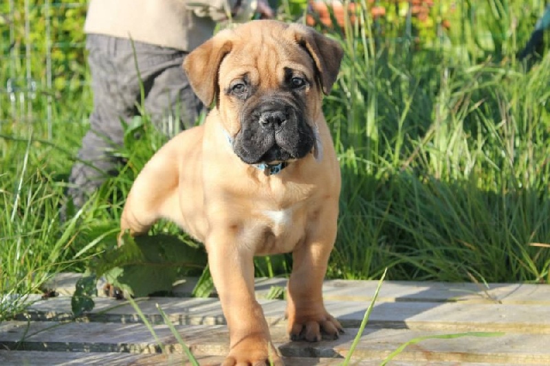 Publication : Pacifique Nielo Staff Auteur : pacifique nielo staff