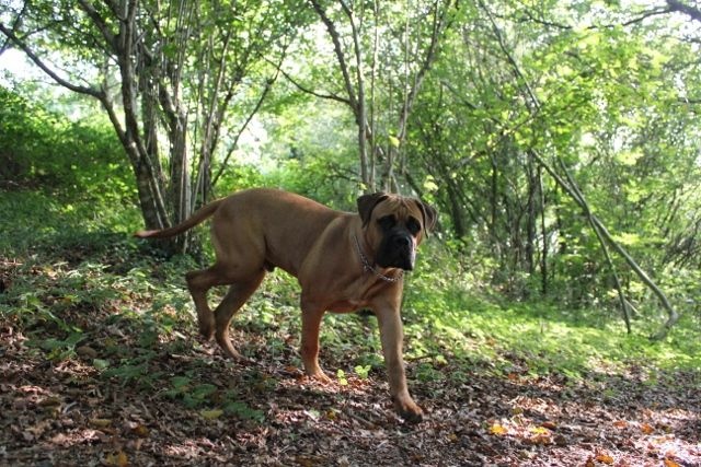 Publication : Pacifique Nielo Staff Auteur : pacifique nielo staff