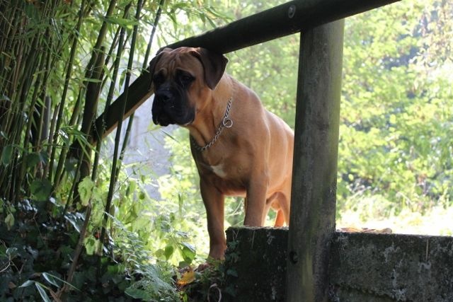 Publication : Pacifique Nielo Staff Auteur : pacifique nielo staff