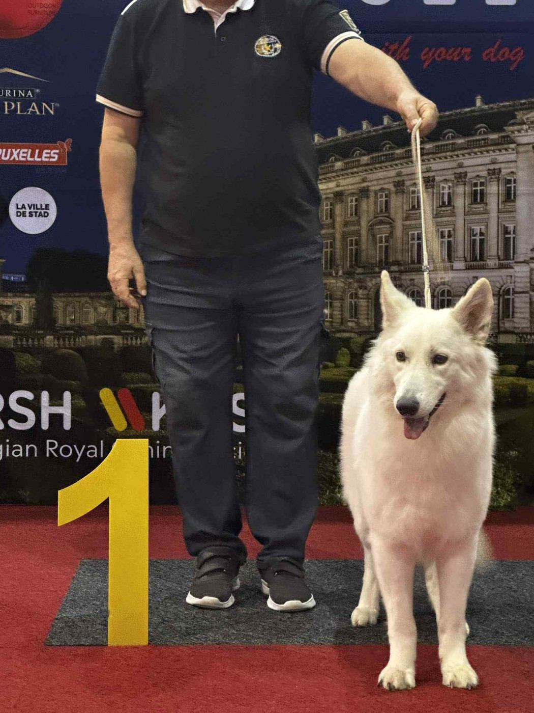 CH. Viva la vida Della Bianca Neve - 1e Excellent- CAC - RCACIB