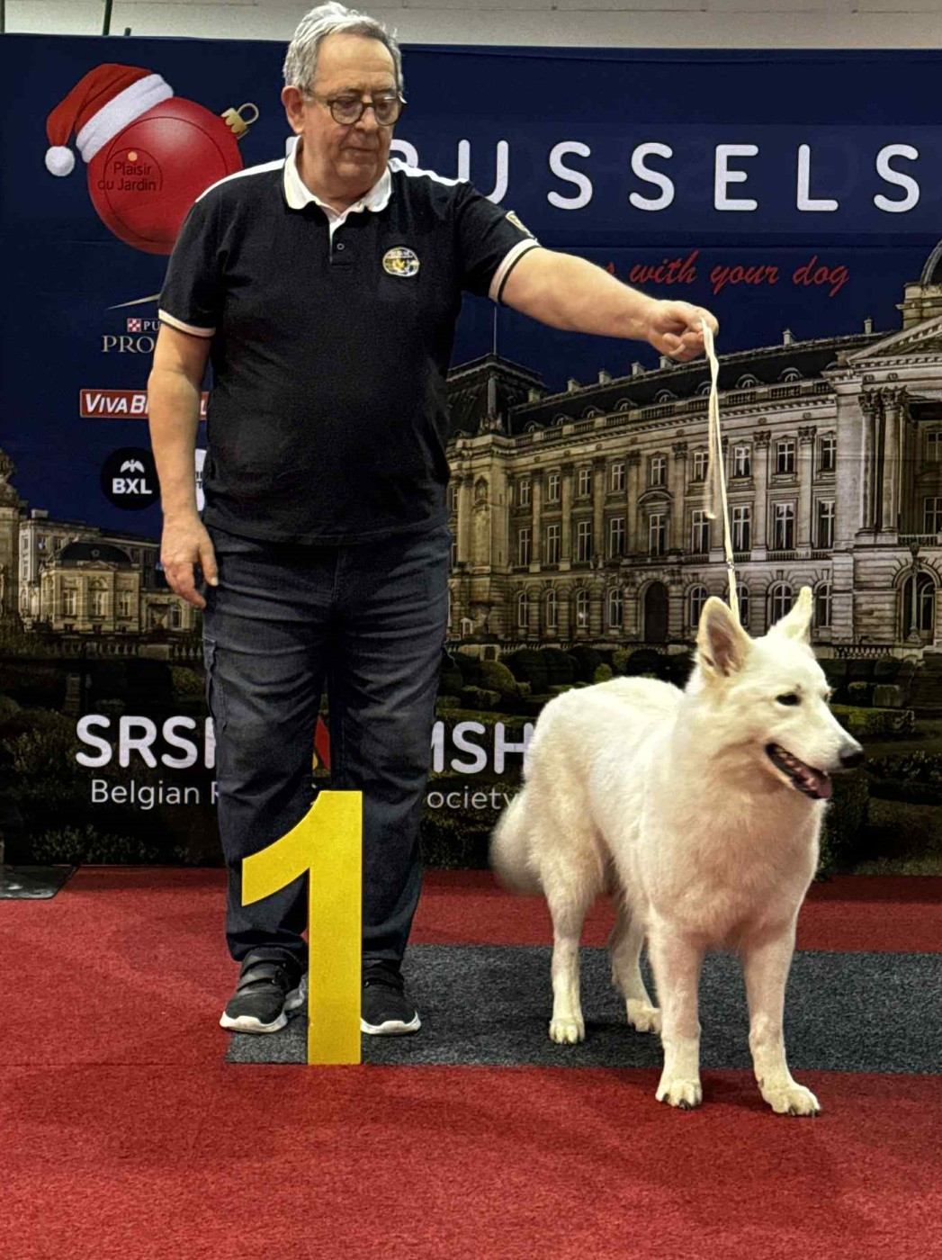 CH. Viva la vida Della Bianca Neve - 1e Excellent- CAC -