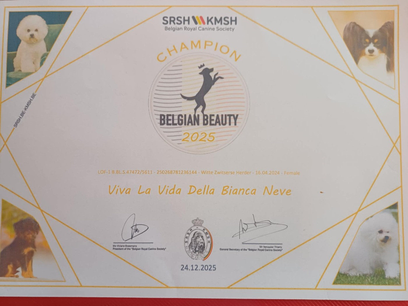 CH. Viva la vida Della Bianca Neve - 1e Excellent- CAC -