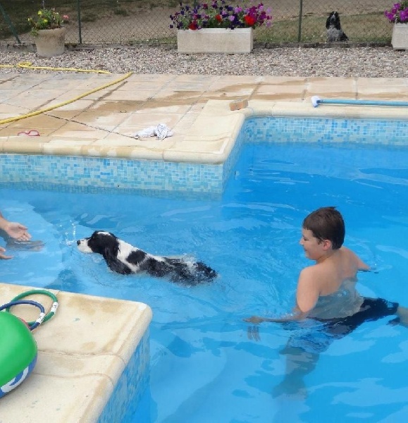 Hello ketty De montravel