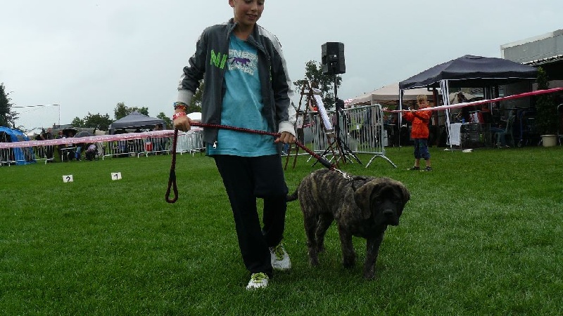 New-angel Jacpas Que Du Bonheur - 1 TP BEST BABY