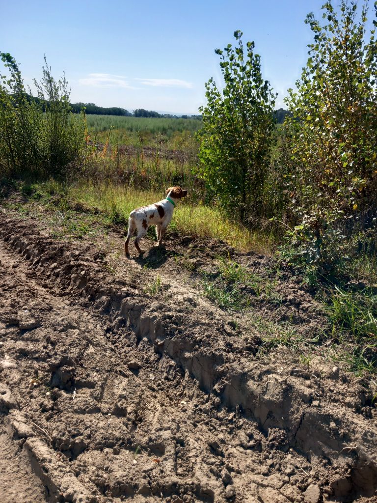 Vickie Du Vallon De Précy - TAN