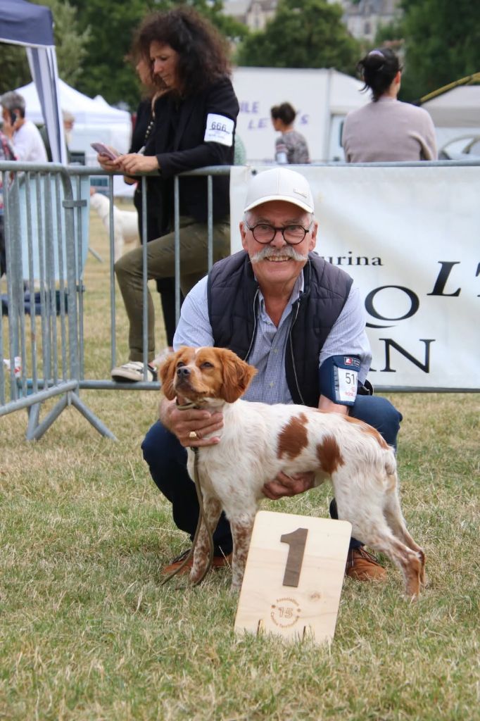 Vickie Du Vallon De Précy - premier excellent classe intermédiaire