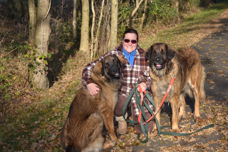 Publication : Du Domaine Des Mignons Auteur : Fortunet Catherine