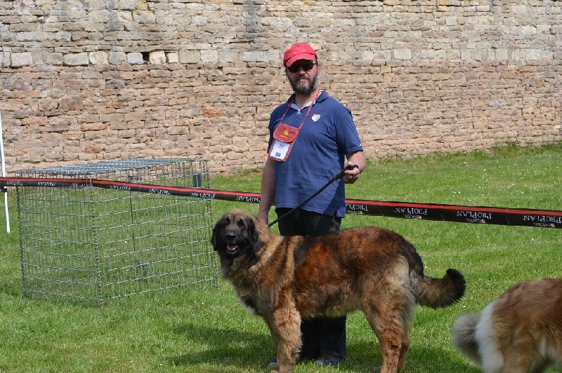 Habby Des Songes Du Clan Des Loups - 2eme Très Bon