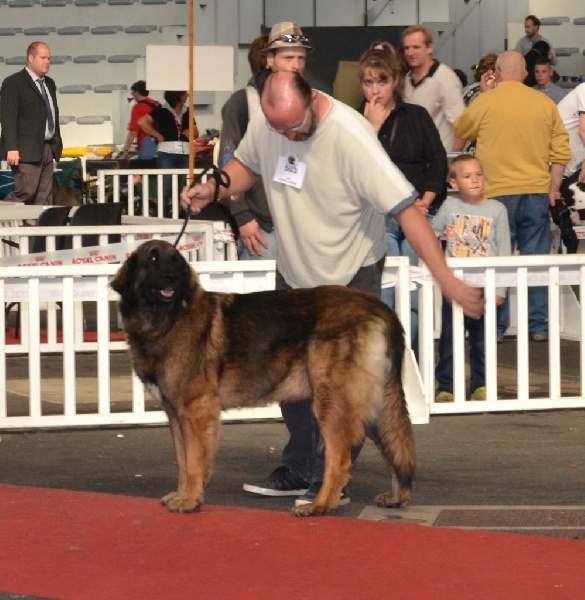 Habby Des Songes Du Clan Des Loups - 3eme Excellent