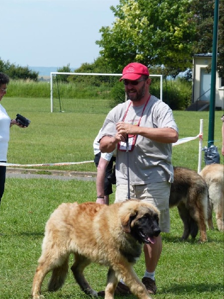Invictus du Bois du Frêne - Très prometteur