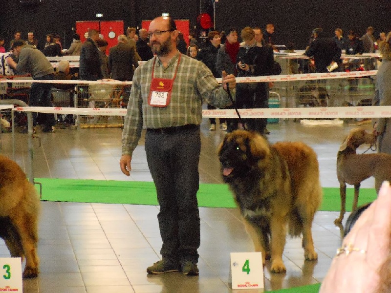 Invictus du Bois du Frêne - 4eme Excellent