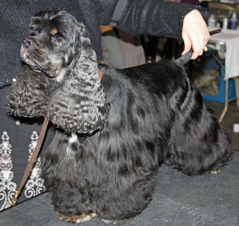 Publication : Nokomis