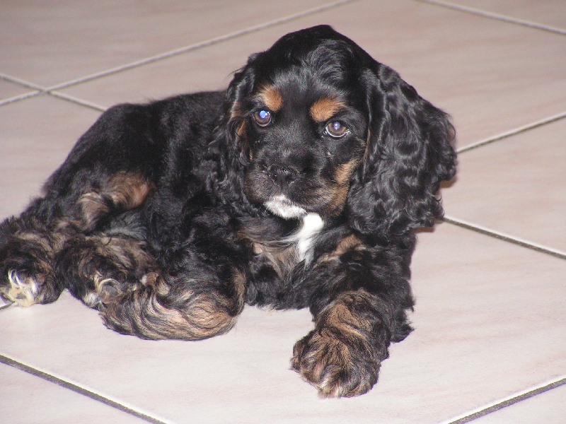 Publication : Nokomis