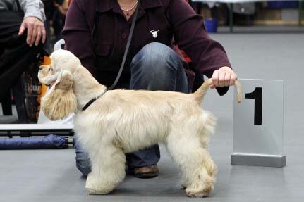 Publication : Nokomis