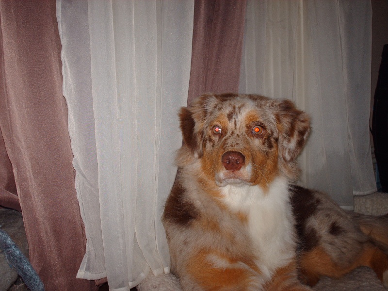 Comète (Sans Affixe)