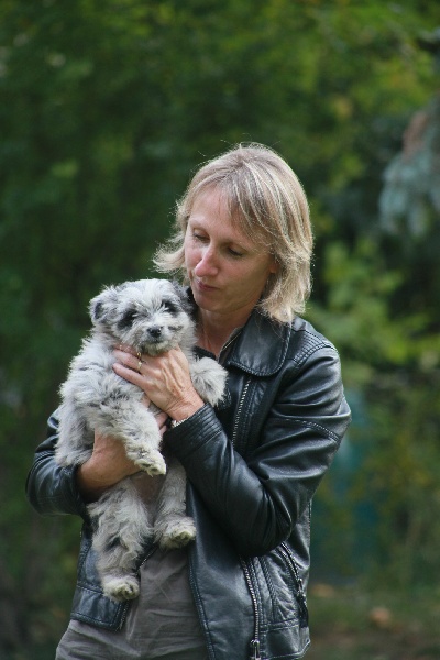 Publication : Du Moulin D'ébène Auteur : NARCY VALERIE