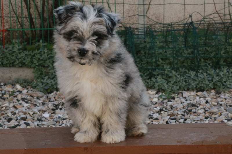 Publication : Du Moulin D'ébène Auteur : NARCY VALERIE