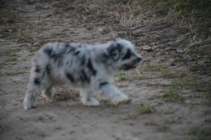 Publication : Du Moulin D'ébène Auteur : NARCY VALERIE