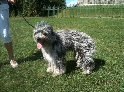 Publication : Du Moulin D'ébène Auteur : NARCY VALERIE