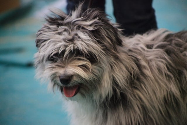 Publication : Du Moulin D'ébène Auteur : NARCY VALERIE