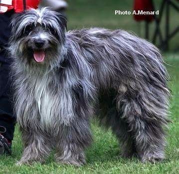 Publication : Du Moulin D'ébène Auteur : NARCY VALERIE