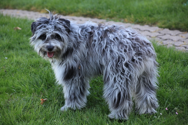 Publication : Du Moulin D'ébène Auteur : NARCY VALERIE