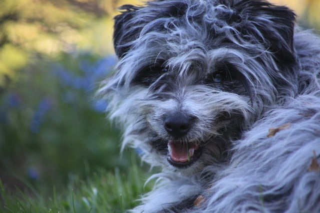 Publication : Du Moulin D'ébène Auteur : NARCY VALERIE