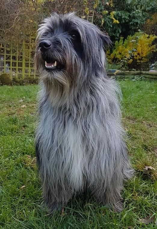 Itak Du Moulin D'ébène