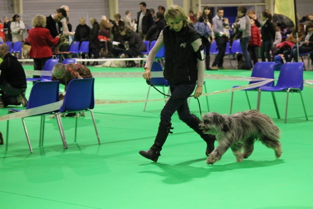 Haggen blue DES DRAYERES - 2eme excellent+ Intermédiaire