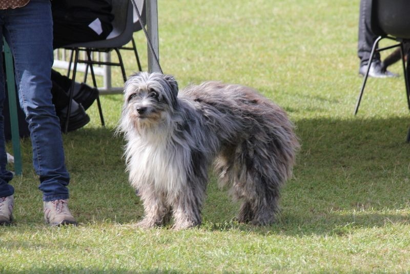 Haggen blue DES DRAYERES - 3eme EXC