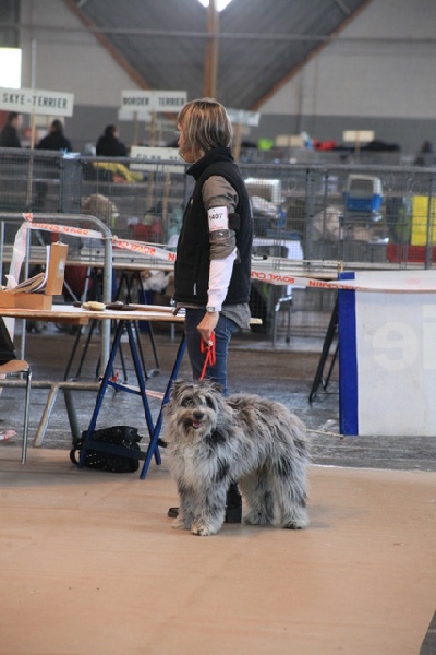 Haggen blue DES DRAYERES - prometteur