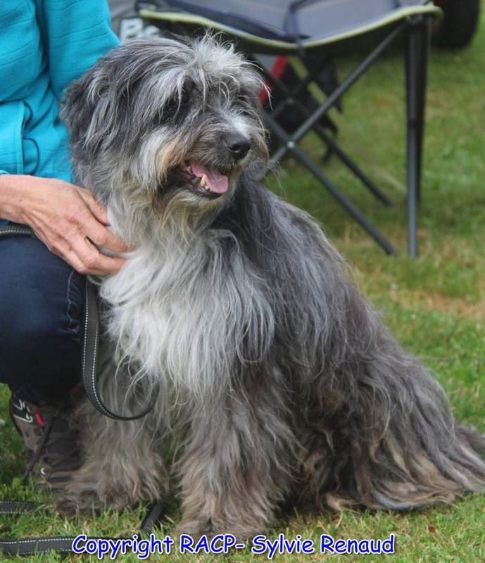 Haggen blue DES DRAYERES - 5 exc