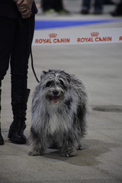 Haggen blue DES DRAYERES - 3eme trés bon , Classe jeune
