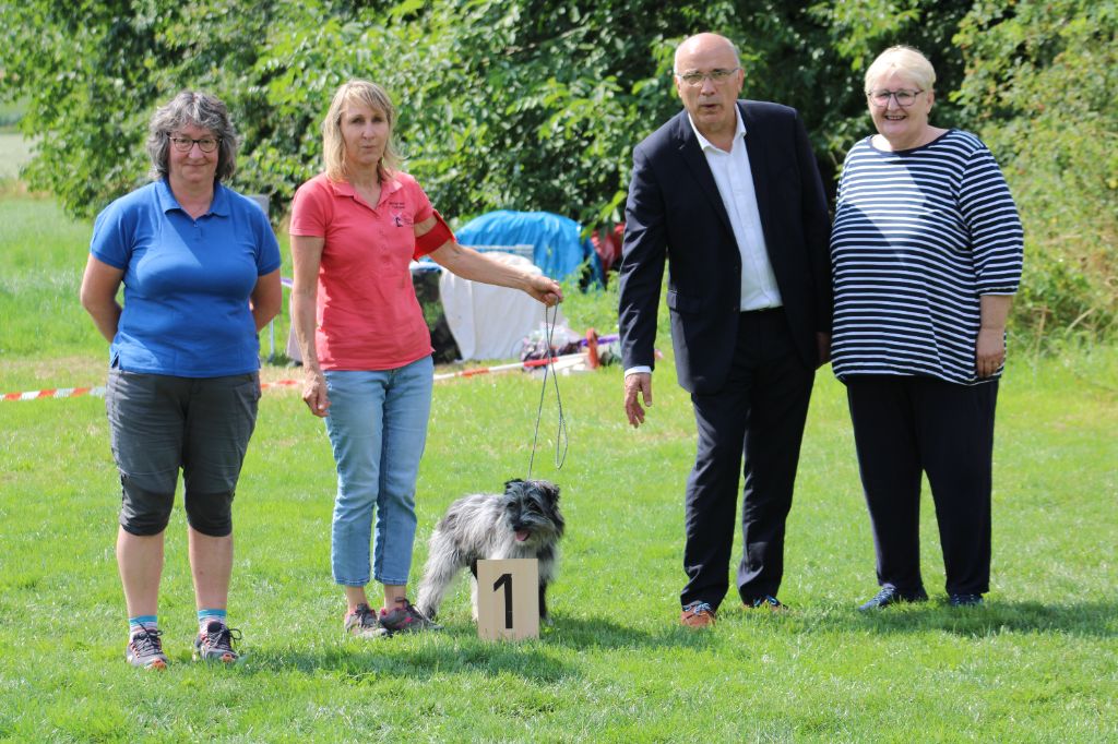 Ardoise bleue Du Moulin D'ébène - 1e Très Prometteur femelle BABY Meilleure baby