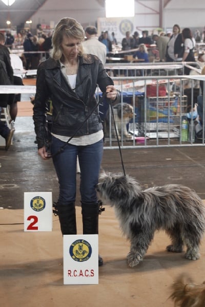 Haggen blue DES DRAYERES - 1 exc inter RCAC RCACIB