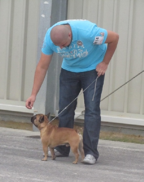 Tous les matins du monde Heros - Bon CIMF