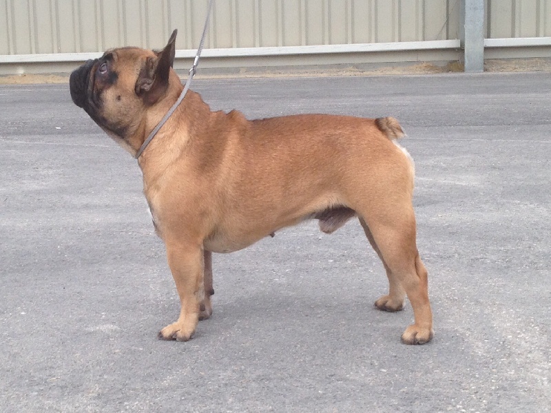 Tous les matins du monde Heros - 2ème Excellent CIMF