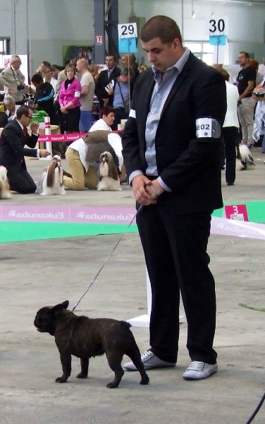 Elana di san biagio della cima - Excellent non classé COFB