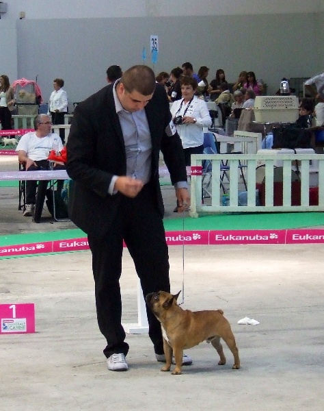 Tous les matins du monde Heros - 4ème Très Bon + confirmation CJMF