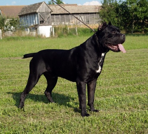 Publication : Du Règne De Malaudrea Auteur : stéphanie Julien