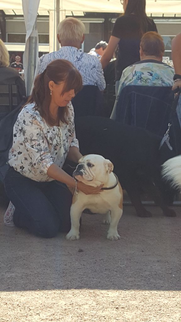 Dream's Touch Memphis blues - 1er TP - MEILLEUR PUPPY - MEILLEUR PUPPY GROUPE 2