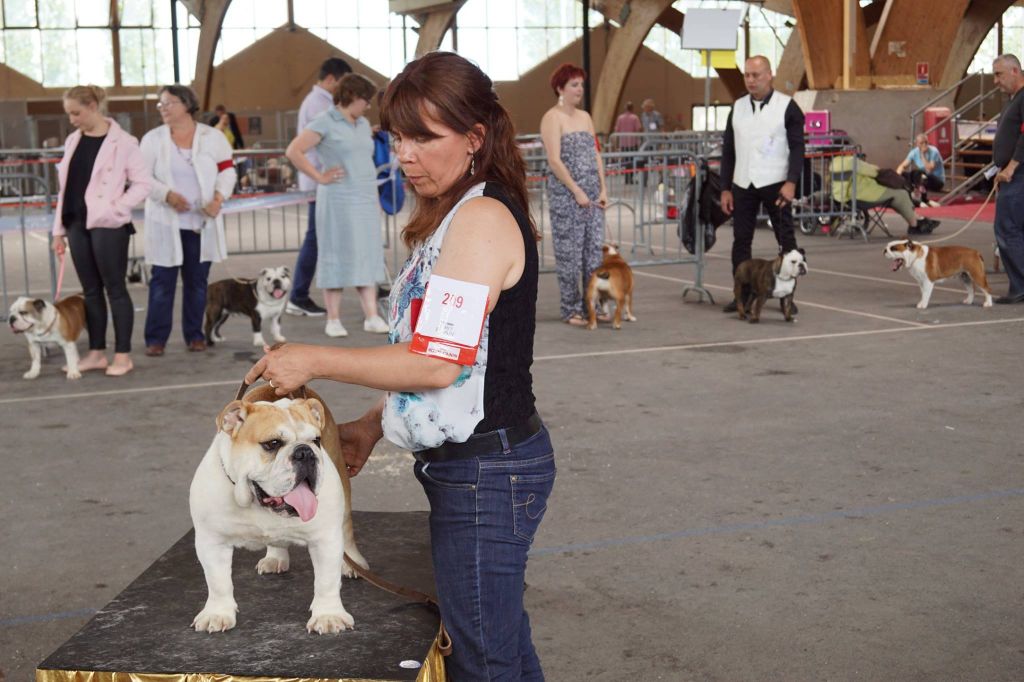 Dream's Touch Mustang sally - EXCELLENT SPECIALE DE RACE