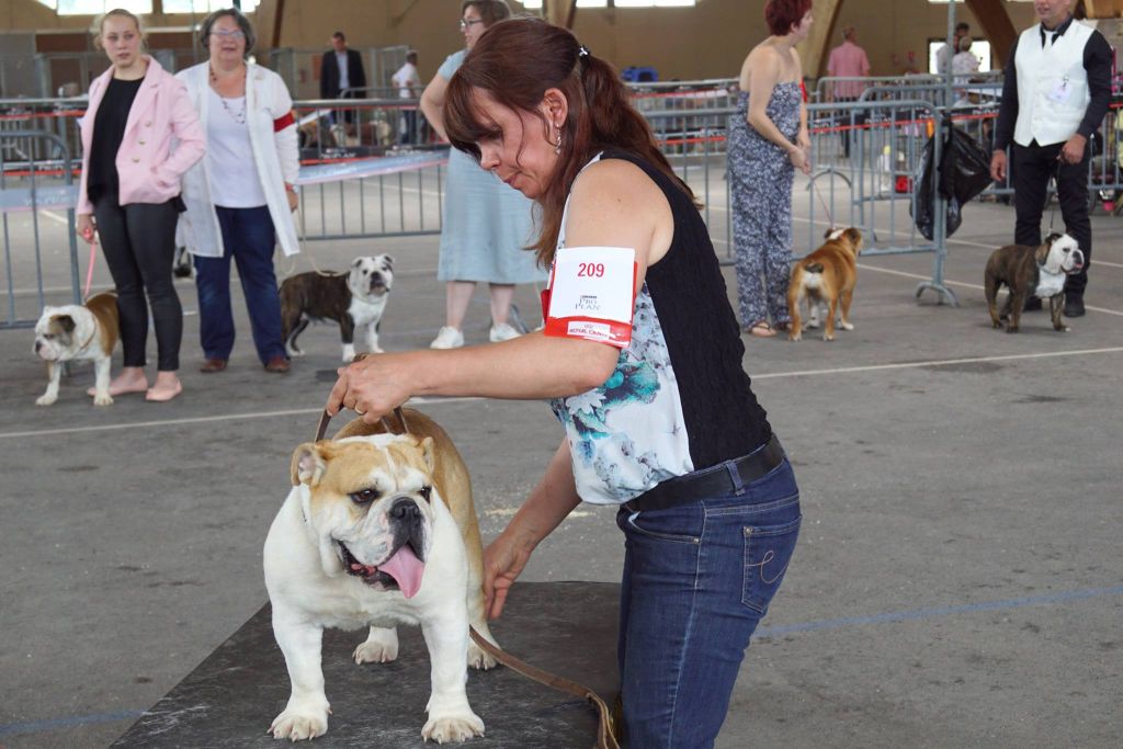 Dream's Touch Mustang sally - EXCELLENT SPECIALE DE RACE