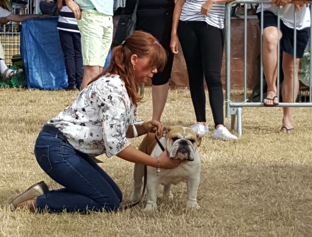 Dream's Touch Mustang sally - 1er EXC CJ MEILLEUR DE RACE + JEUNE - 3me GROUPE 2