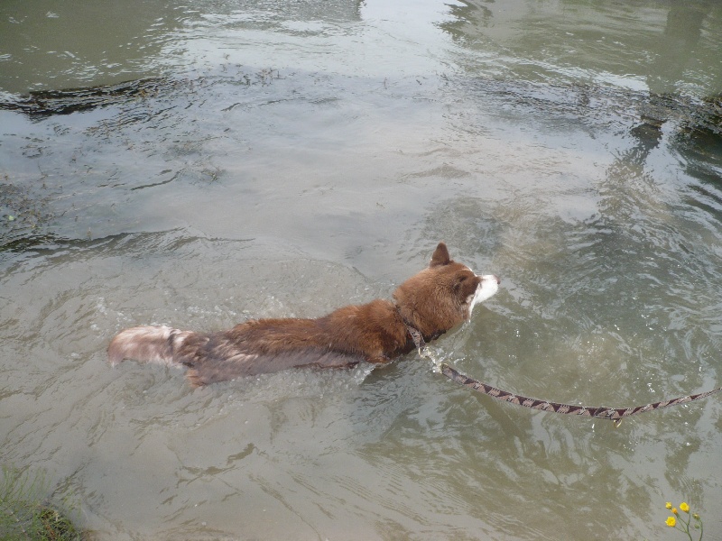 Publication : Of Dream Artic