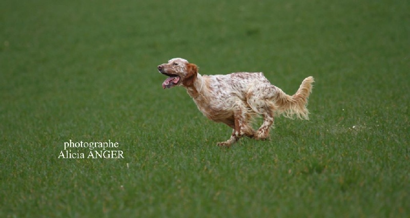 TR. Fausto du hameau des neiges - 3EME EXCELLENT