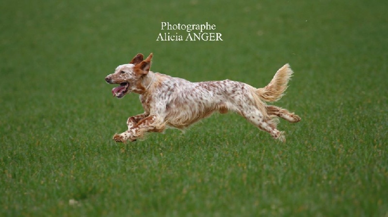 TR. Fausto du hameau des neiges - 3EME EXCELLENT