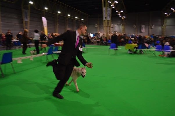 Luna de fiesta sadeckie pieszczochy - 3ème Excellent