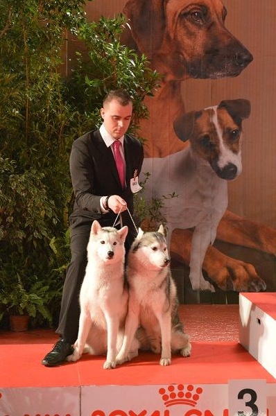 Luna de fiesta sadeckie pieszczochy - 3ème Meilleur Couple de l'expo