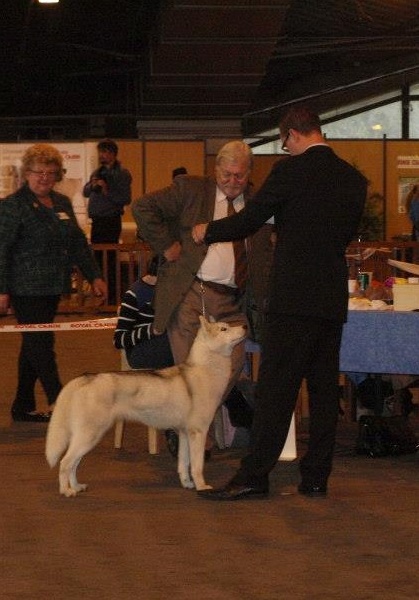 Luna de fiesta sadeckie pieszczochy - CACS
